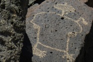 Petroglyph NM, NM