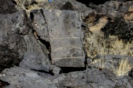 Petroglyph NM, NM