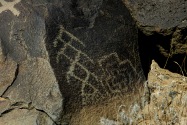 Petroglyph NM, NM