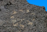 Petroglyph NM, NM