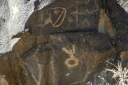 Petroglyph NM, NM