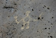 Petroglyph NM, NM