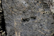 Petroglyph NM, NM