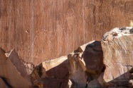 Capital Reef NP, UT