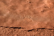 Chaco Culture NHP NM