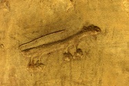 Chaco Culture NHP NM