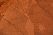 Dinosaur NM UT & CO