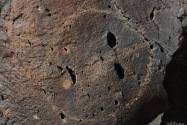 Petroglyphs NM NM