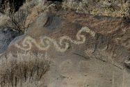 Petroglyphs NM NM