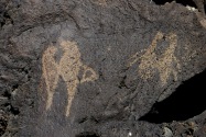 Petroglyphs NM NM