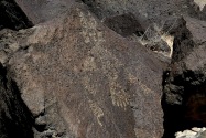 Petroglyphs NM NM