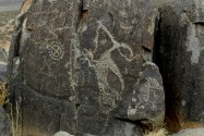 Three Rivers Petroglyph Site NM