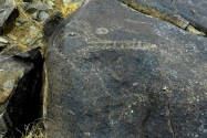 Three Rivers Petroglyph Site NM