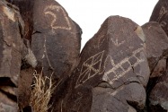 Three Rivers Petroglyph Site NM