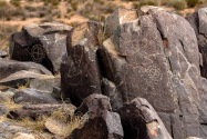 Three Rivers Petroglyph Site NM