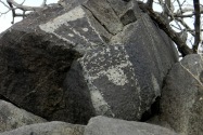 Three Rivers Petroglyph Site NM