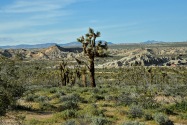 Red Rock Canyon SP