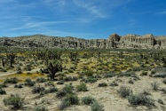 Red Rock Canyon SP