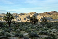 Red Rock Canyon SP