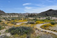Red Rock Canyon SP