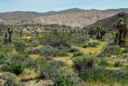 Red Rock Canyon SP