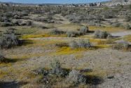 Red Rock Canyon SP