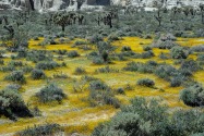 Red Rock Canyon SP