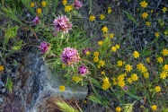 Red Rock Canyon SP