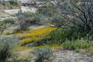Red Rock Canyon SP