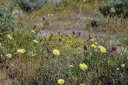 Red Rock Canyon SP