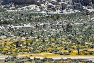 Red Rock Canyon SP