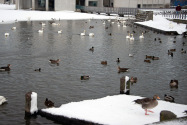 Reykjavik Iceland