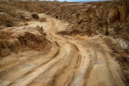 Anza Borrego CA