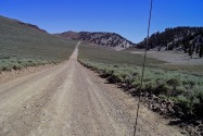 Ancient Bristlecone Pine Forest CA