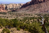 Burr Trail RD UT