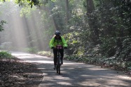 Cúc Phương National Park Vietnam
