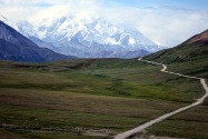 Denali NP AK