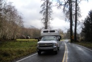 Hoh Rainforest WA