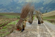 Otavalo Ecuador