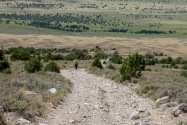 Rose Guano Bat Cave NV