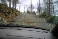 Rowdy Road OR
