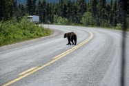 Skagway AK