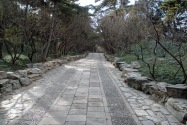 Summer Palace Beijing