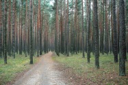 Sumy Ukraine