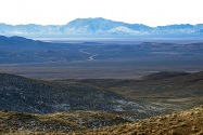 Vernon NV