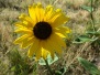 Scotts Bluff NM