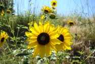 Scotts Bluff NM, NE
