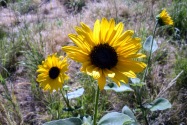 Scotts Bluff NM, NE