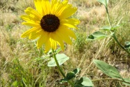 Scotts Bluff NM, NE