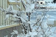 Seyðisfjörður Iceland